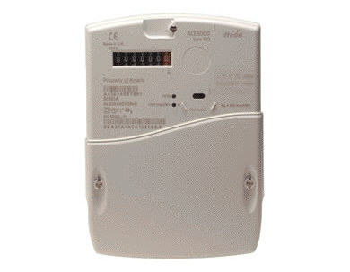 ACE 3000 Type 100/110 Electronic Polyphase Meter